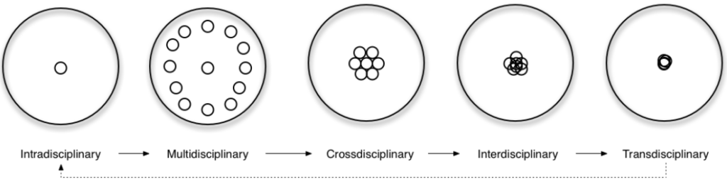 Interdisciplinary research graphic